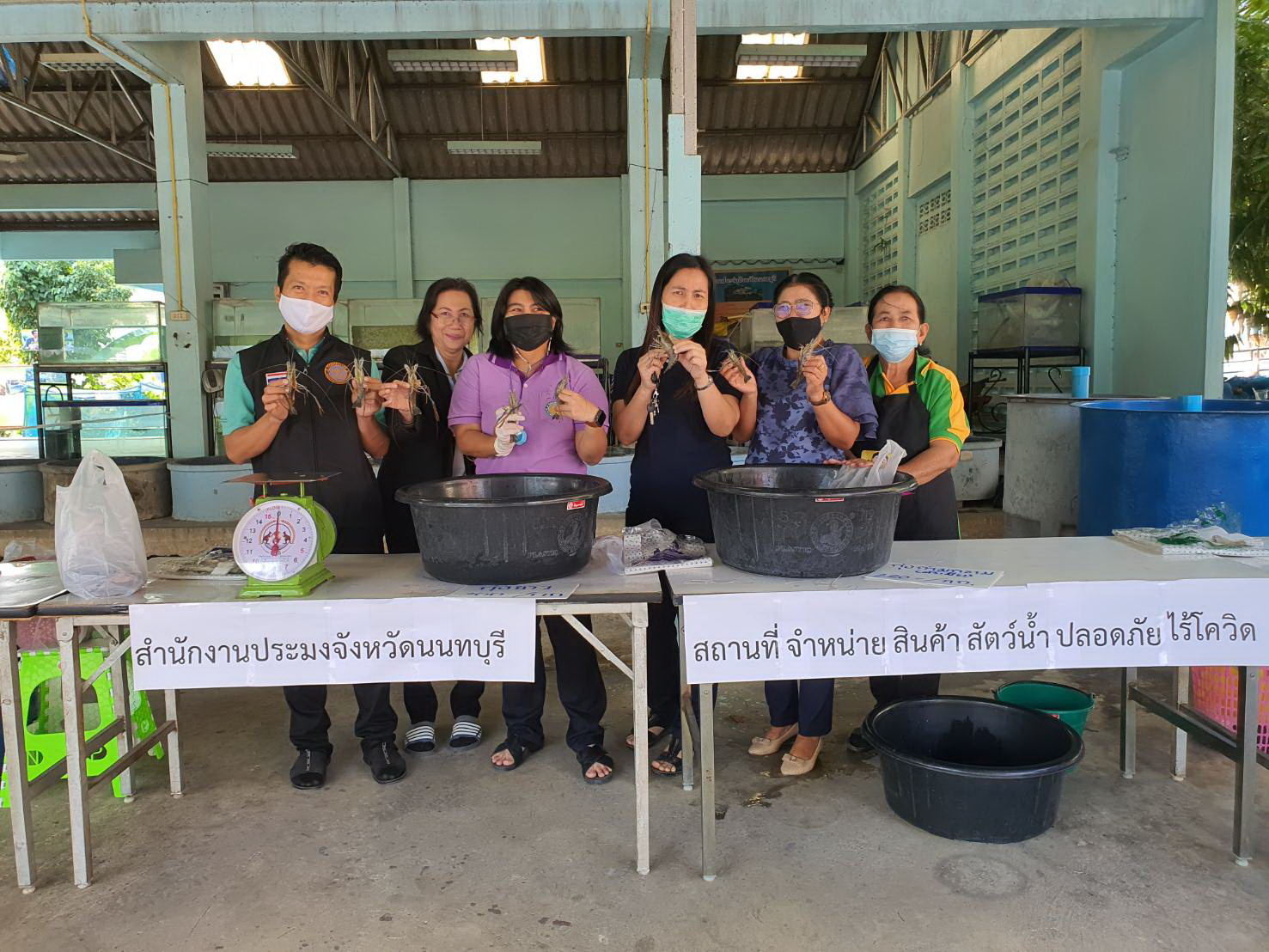 การช่วยเหลือเกษตรกรจากจังหวัดนครปฐมจำหน่ายกุ้ง @สำนักงานประมงจังหวัดนนทบุรี & สำนักงานแขวงท่าทราย..คลิก