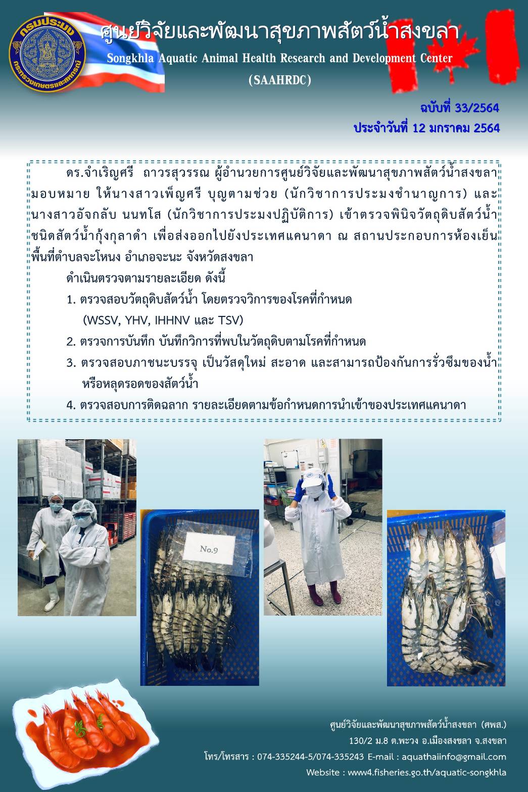 ฉบับที่ 33/2564 ศูนย์วิจัยและพัฒนาสุขภาพสัตว์น้ำสงขลา เข้าตรวจพินิจวัตถุดิบสัตว์น้ำ ชนิดสัตว์น้ำกุ้งกุลาดำ เพื่อส่งออกไปยังประเทศแคนาดา ณ สถานประกอบการห้องเย็นพื้นที่ตำบลจะโหนง อำเภอจะนะ จังหวัดสงขลา..คลิก