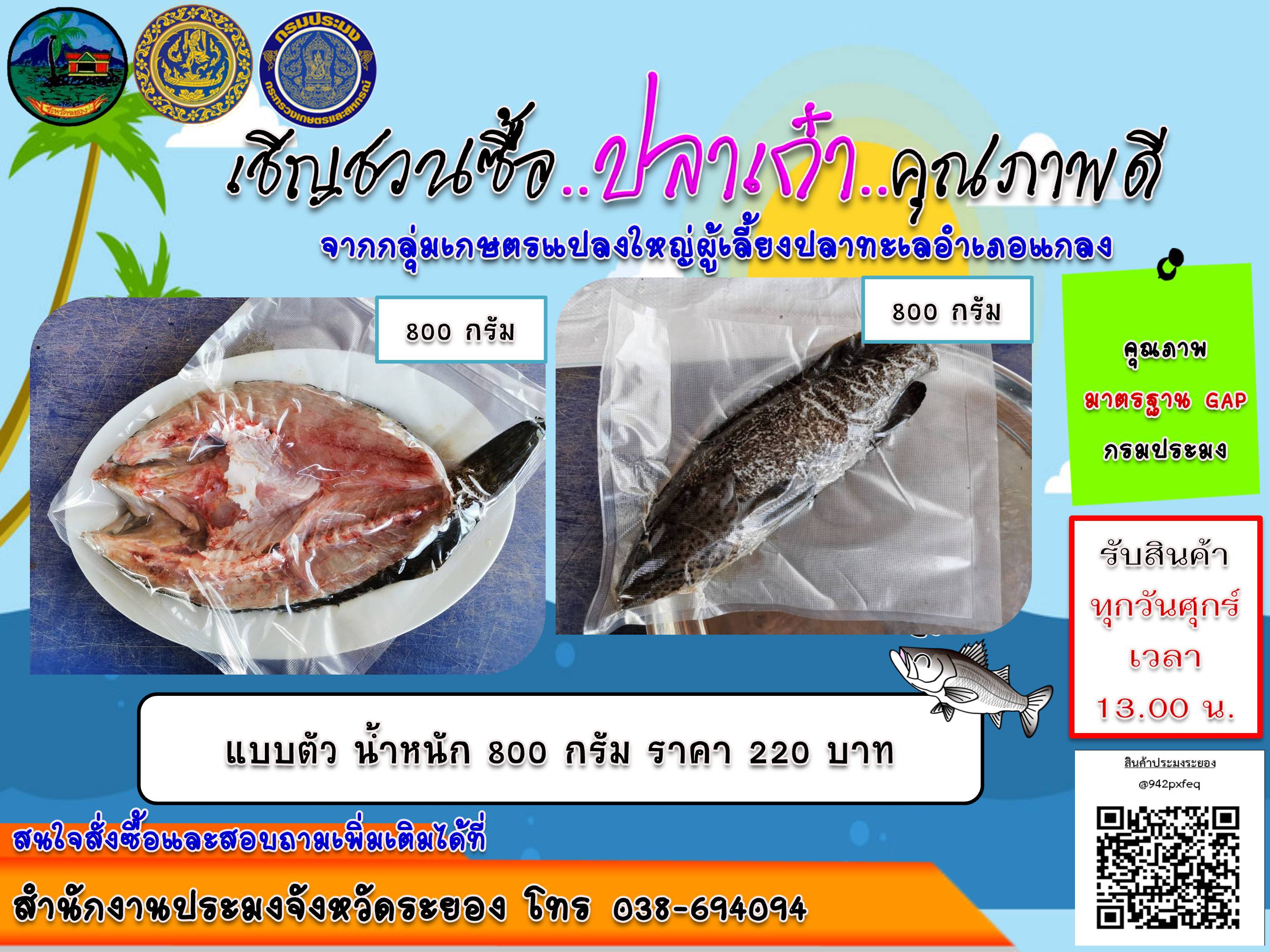 สำนักงานประมงจังหวัดระยอง เชิญชวนซื้อ .. ปลาเก๋า .. คุณภาพดี จากกลุ่มเกษตรกร ที่ได้รับผลกระทบ COVID-19..คลิก