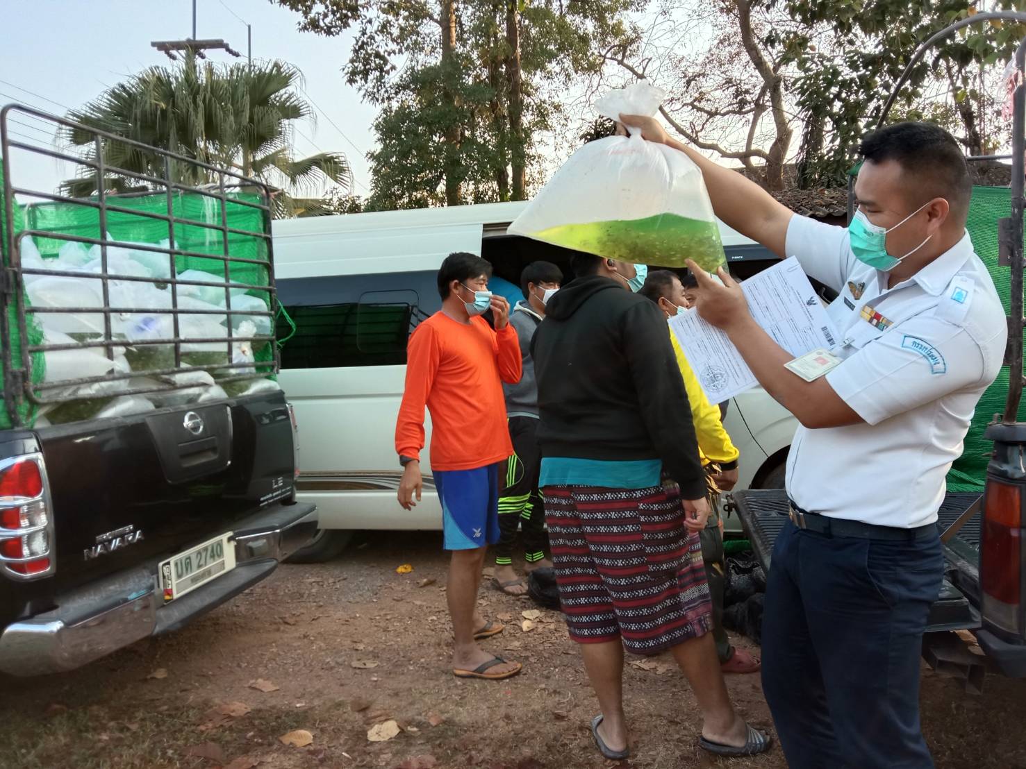 ตรวจสอบลูกพันธุ์สัตว์น้ำ ส่งออกไปยัง สปป.ลาว..คลิก