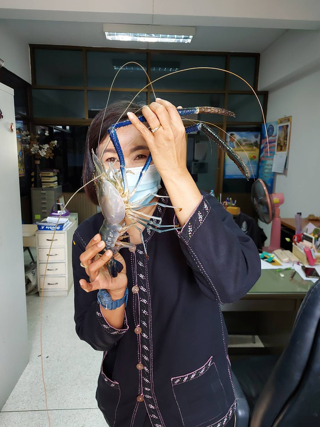 มหกรรมกุ้งนครนายก ถูกและดี  กิจกรรมดีๆ แบบนี้มีตลอด รอติดตามครับ..คลิก
