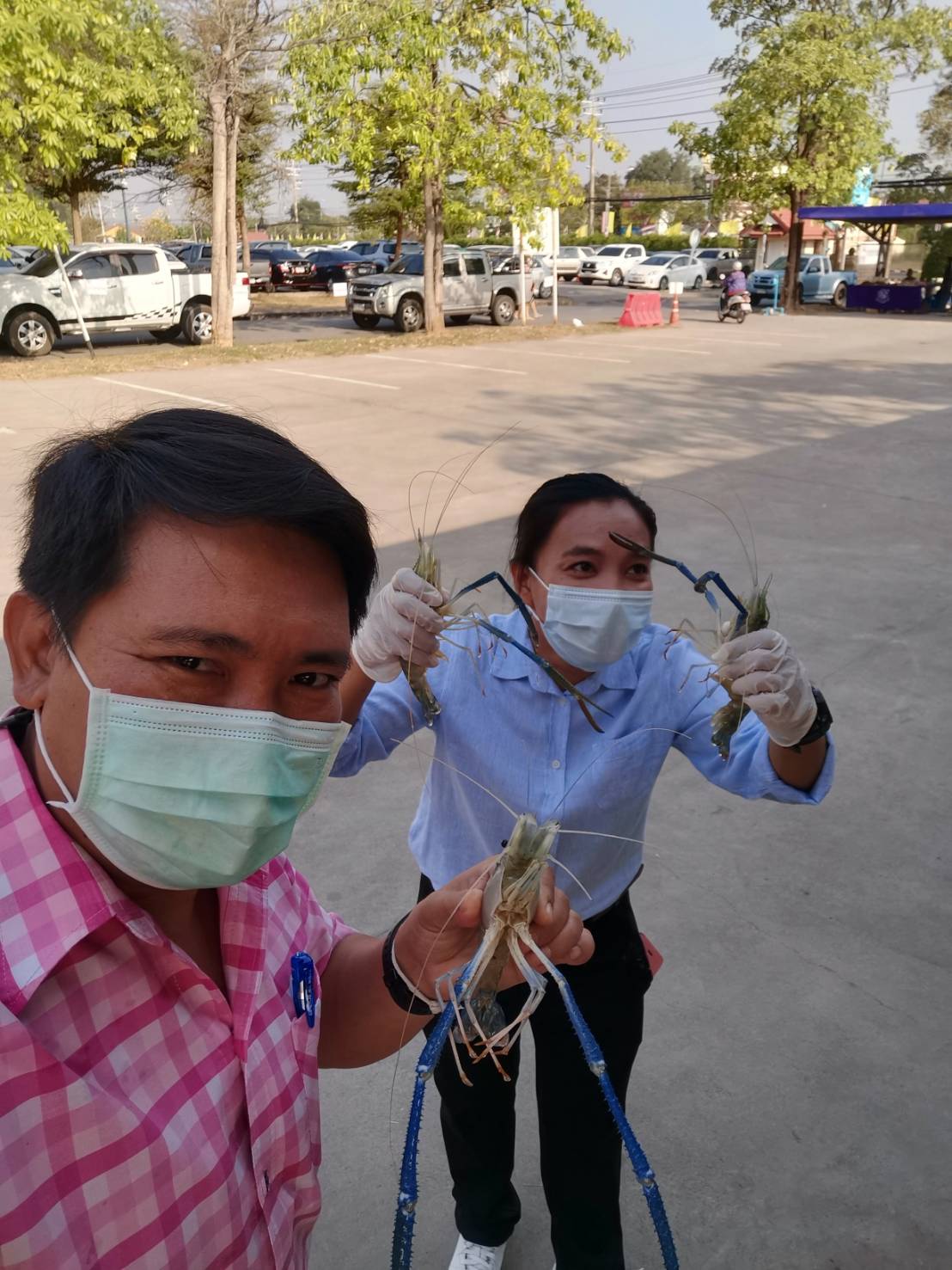 มหกรรมกุ้งนครนายก ถูกและดี เปิดแล้ววันนี้ 26 มกราคม 2564..คลิก