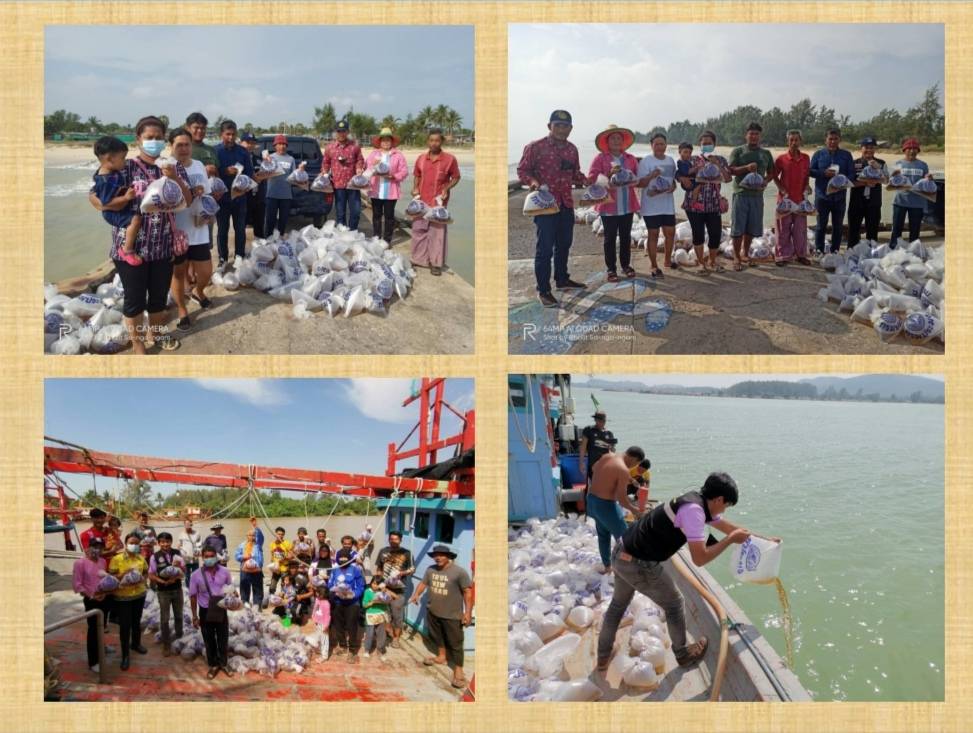 ศูนย์วิจัยและพัฒนาการเพาะเลี้ยงสัตว์น้ำชายฝั่งสงขลาร่วมกับสำนักงานประมงจังหวัดสงขลา โดยสำนักงานประมงอำเภอสทิงพระ และสำนักงานประมงอำเภอจะนะ  ร่วมปล่อยพันธุ์กุ้งแชบ๊วย..คลิก