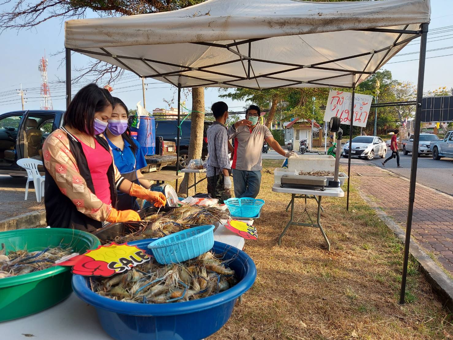 ห้างหรือตลาดสดยังไม่กล้านับจำนวนตัวให้เห็นแบบนี้เลย..คลิก