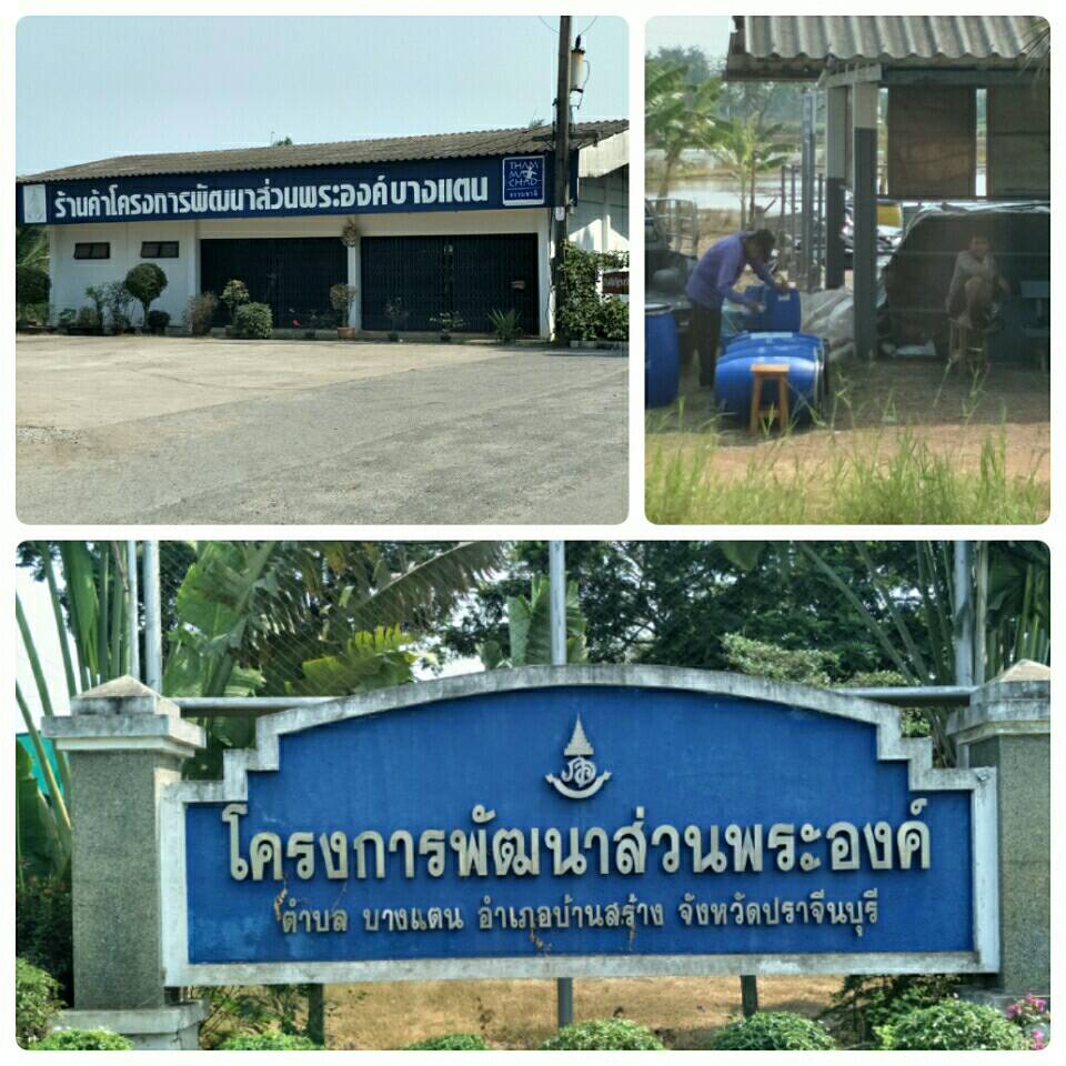 ติดตามการพัฒนาศูนย์เรียนรู้เศรษฐกิจพอเพียงตามแนวเกษตรทฤษฎีใหม่@โครงการพัฒนาส่วนพระองค์ตำบลบางแตน..คลิก