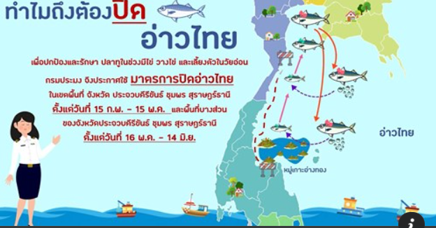 รับชมสาระน่ารู้จากกรมประมงเรื่อง ทำไมต้องปิดอ่าวไทย..คลิก