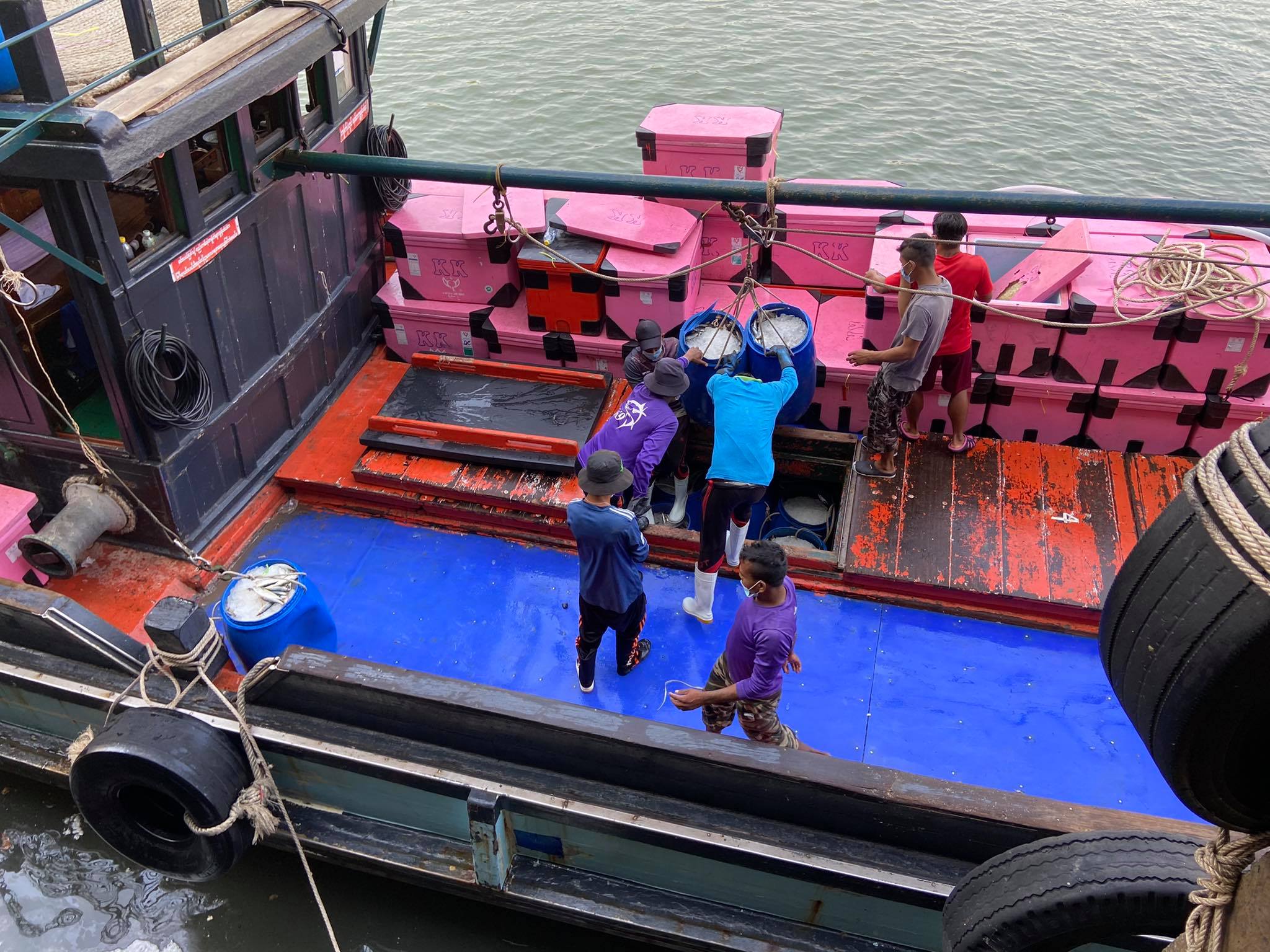 รายงานผลการตรวจเรือขนถ่ายสัตว์น้ำจากประเทศเมียนมาร์..คลิก