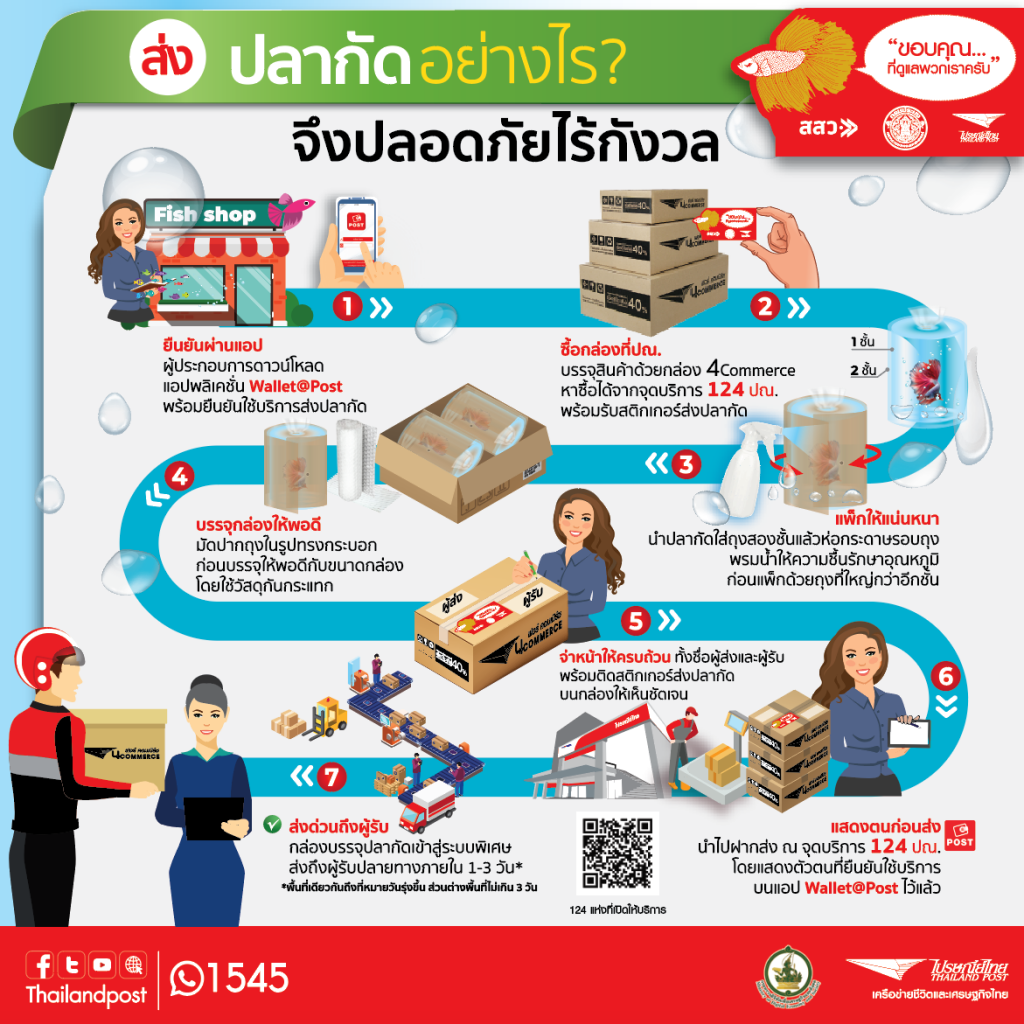 ส่งปลากัดอย่างไรจึงปลอดภัยไร้กังวล