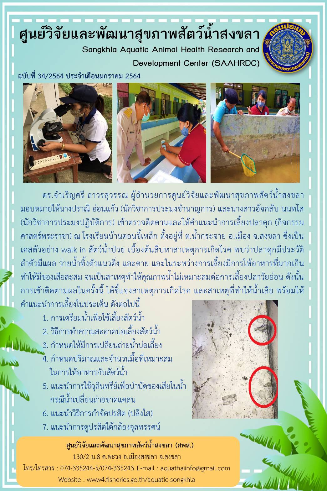 ฉบับที่ 34/2564  ศูนย์วิจัยและพัฒนาสุขภาพสัตว์น้ำสงขลา ุเข้าตรวจติดตามและให้คำแนะนำการเลี้ยงปลาดุก (กิจกรรม ศาสตร์พระราชา) ณ โรงเรียนบ้านดอนขี้เหล็ก..คลิก