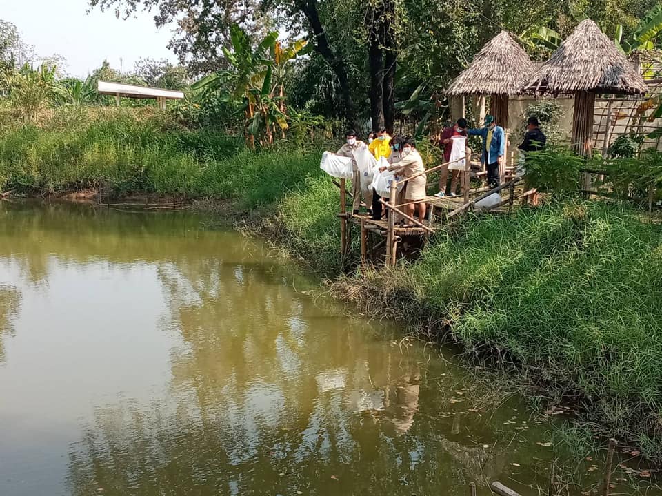 ปล่อยพันธุ์สัตว์น้ำ ตามโครงการศูนย์เรียนรู้ด้านการประมงบ้านหนองตาดั้ง เพื่อผลิตเป็นแหล่งอาหาร (Food Bank) ตามแนวพระราชดำริ..คลิก