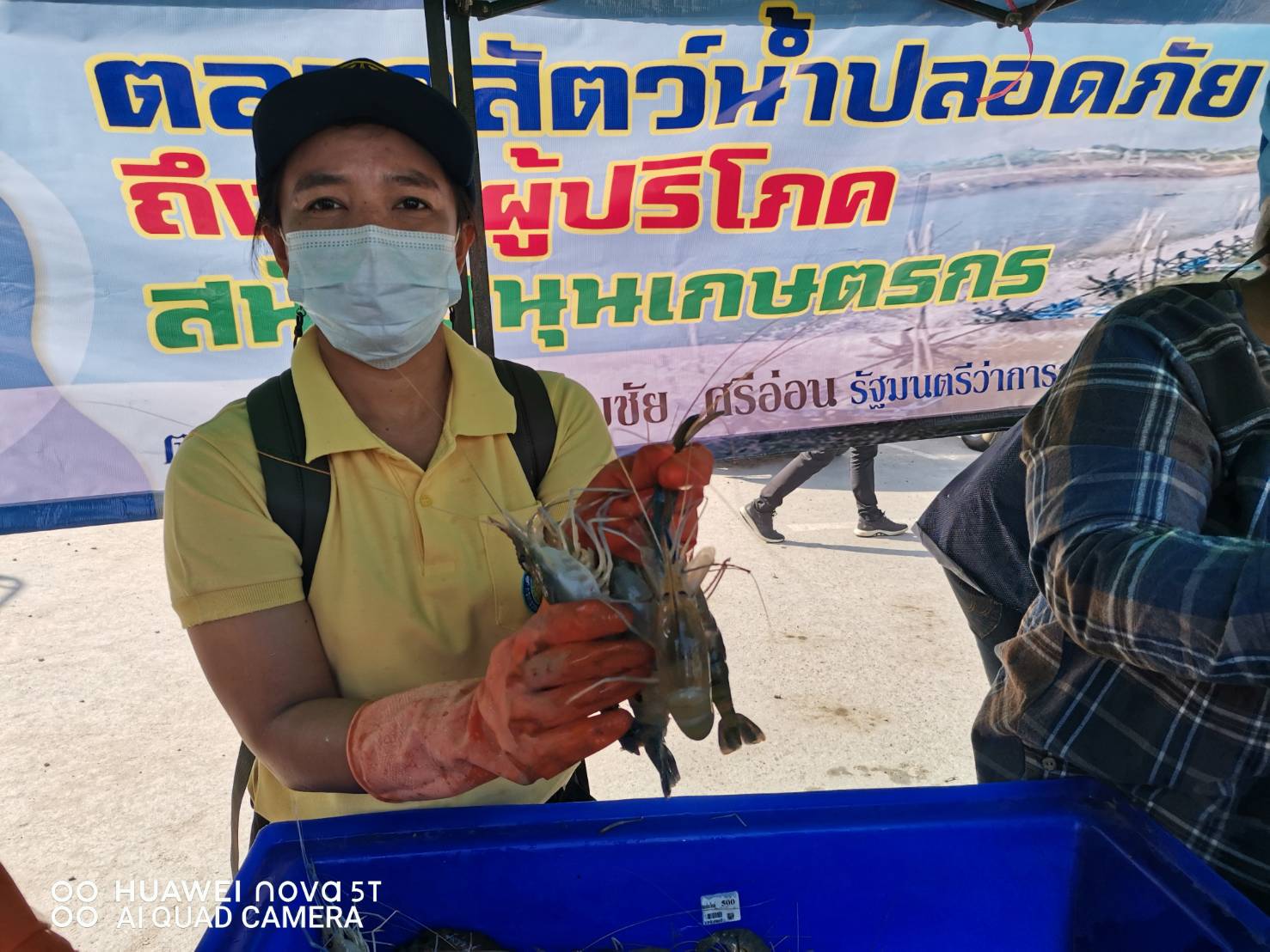 มหกรรมกุ้งนครนายก บุกตลาดเมืองโคราช เริ่มแล้ววันนี้..คลิก