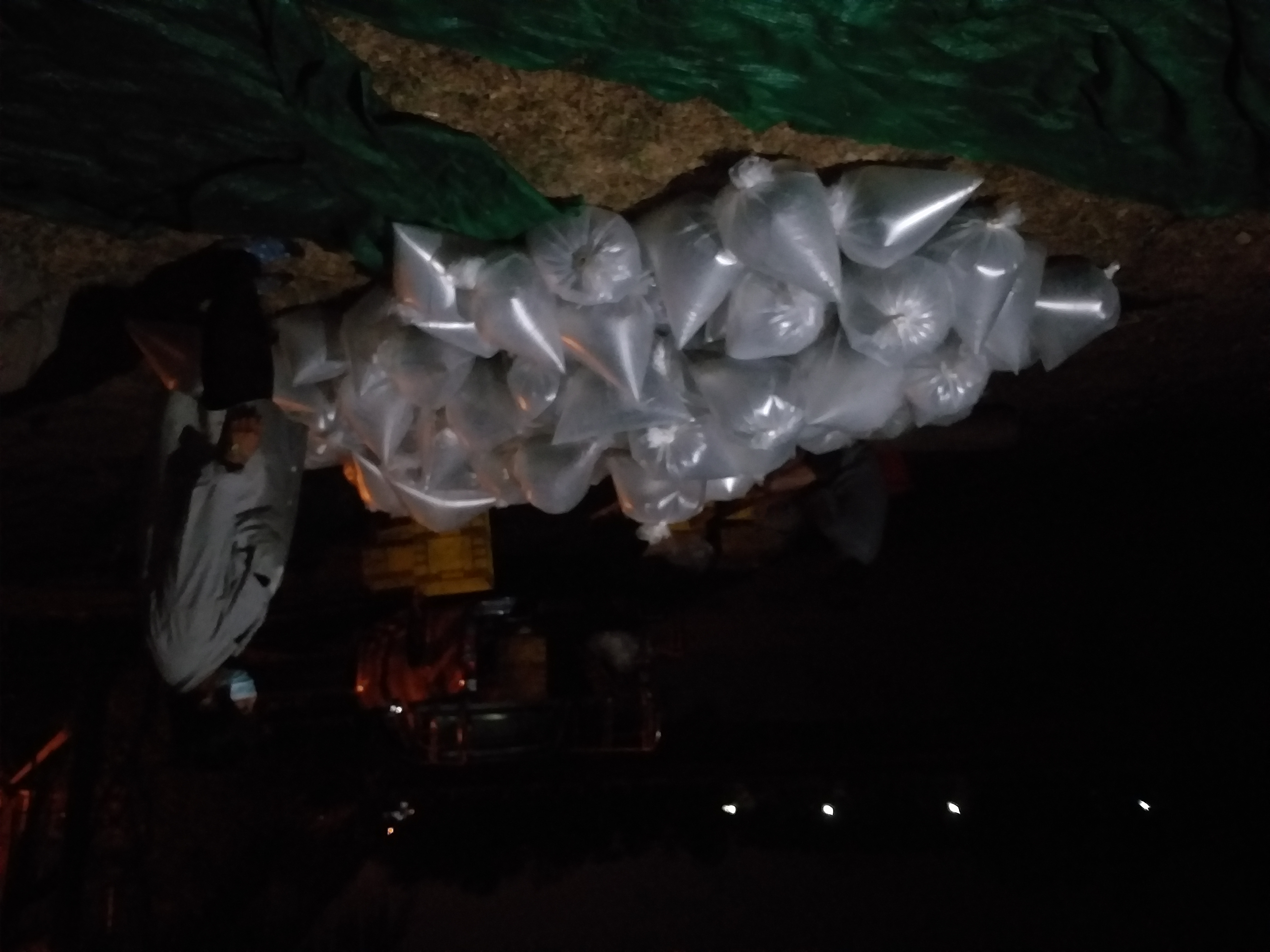 ตรวจสอบสินค้าประมง ส่งออกไปยัง สปป.ลาว..คลิก