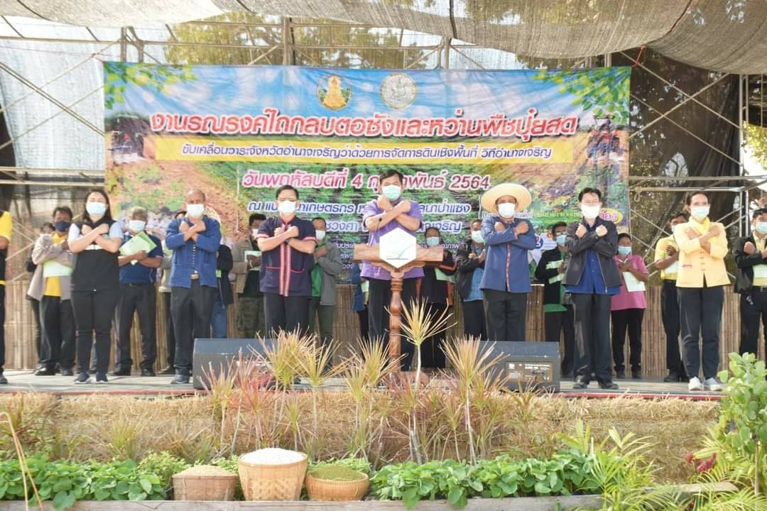 ร่วมงานรณรงค์ไถกลบตอซังข้าวและหว่านพืชปุ๋ยสด..คลิก