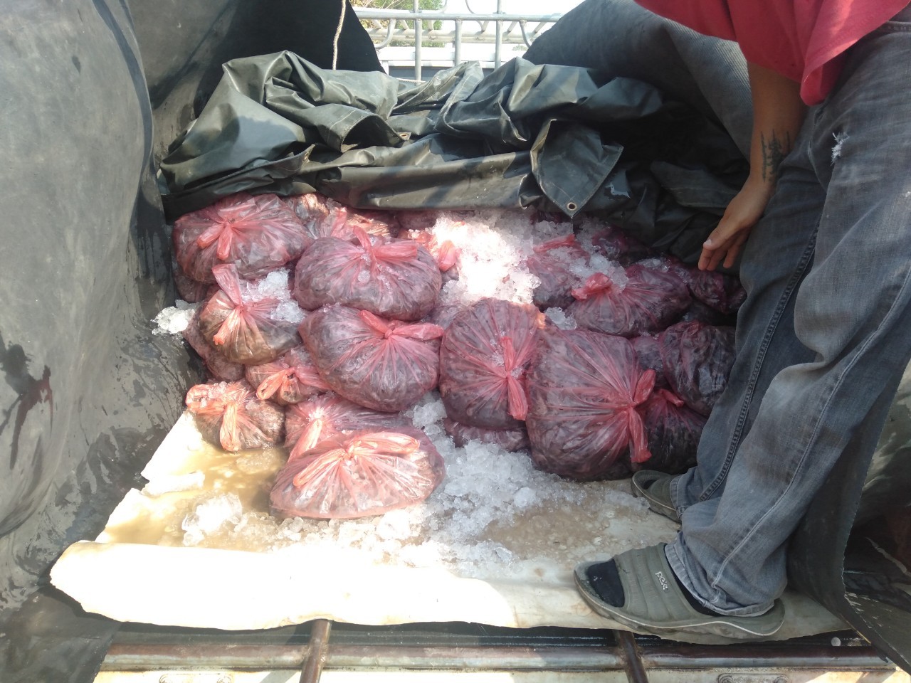 ตรวจสินค้าประมงที่นำเข้า ทางจุดผ่านแดนบ้านหนองปรือ..คลิก