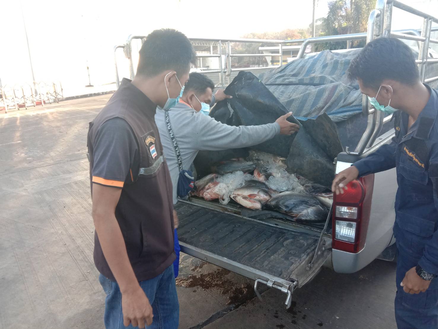 ภาพข่าวสารด่านฯ ผลการปฏิบัติงาน ระหว่างวันที่ 10- 11กุมภาพันธ์ 2564..คลิก