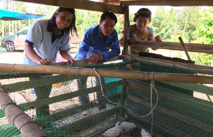ติดตามงานโครงการส่งเสริมการเลี้ยงไก่ไข่ (เล็กฮอร์น)