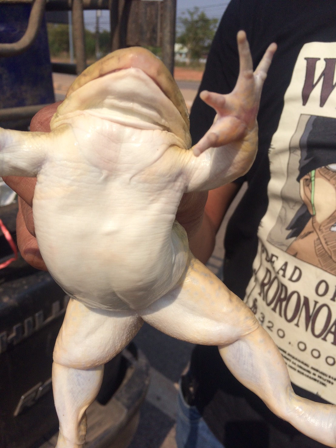 ตรวจสอบสินค้าประมง ส่งออกไปยัง สปป.ลาว..คลิก