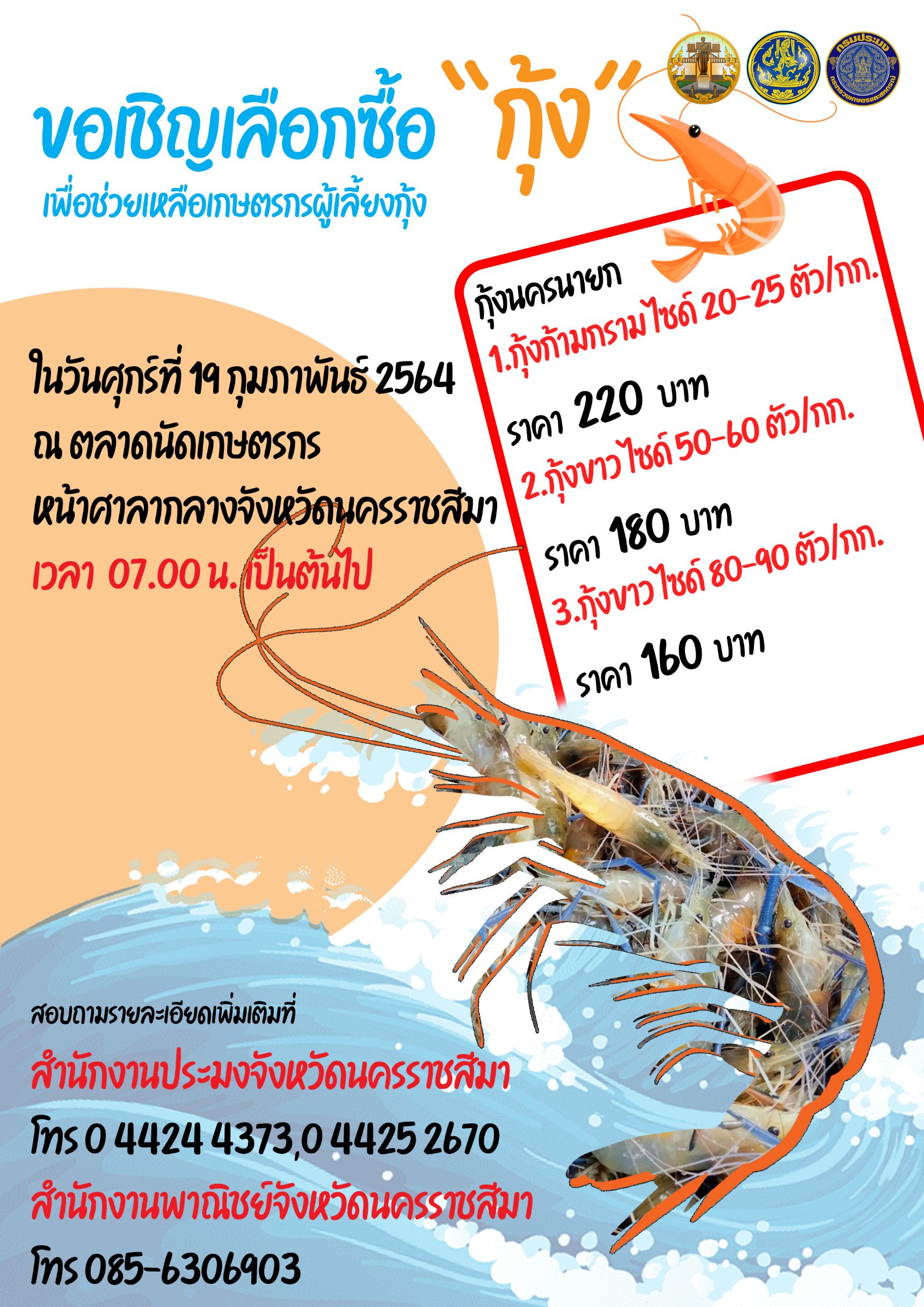 มหกรรมกุ้งนครนายก บุกตลาดโคราช พรุ้งนี้เจอกัน..คลิก
