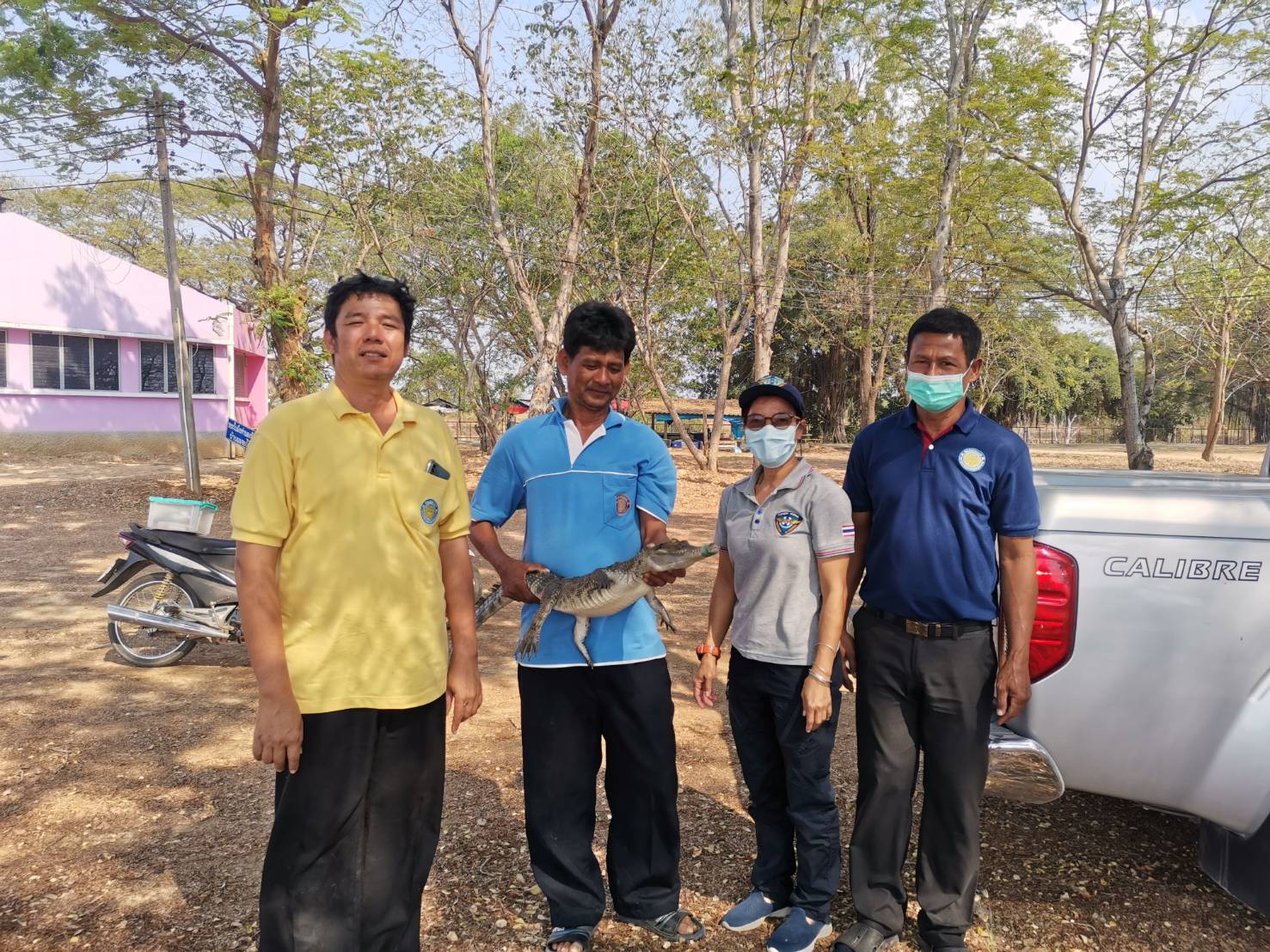 ส่งมอบจระเข้ ให้กับ ศูนย์วิจัยและพัฒนาประมงน้ำจืดนครสวรรค์..คลิก