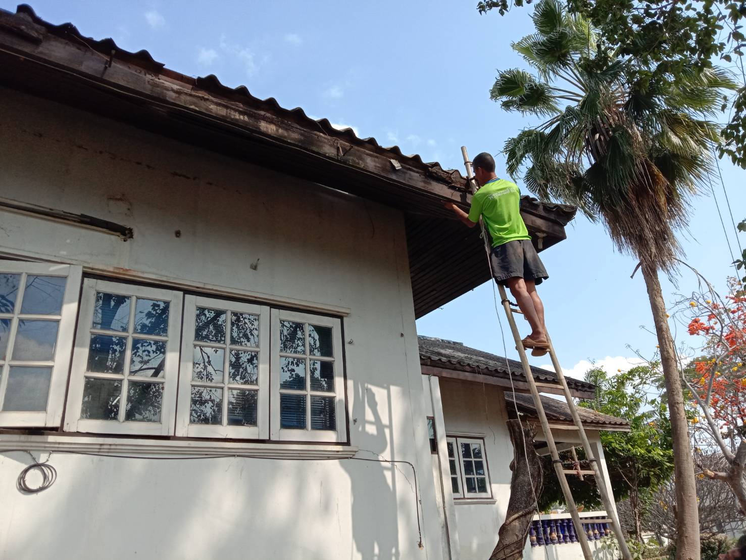 พัฒนา ศบป.เขต2(หนองคาย)..คลิก