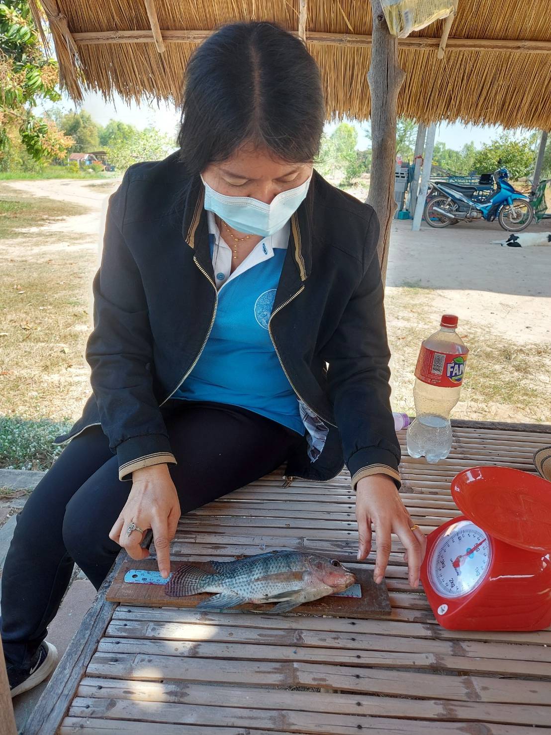 ประมงอำเภอสิรินธร  ลงพื้นที่ติดตามประเมินผลการดำเนินงานโครงการพัฒนาเสริมทางเลือกอาชีพด้านการประมง การเลี้ยงปลานิลแปลงเพศในบ่อดิน..คลิก