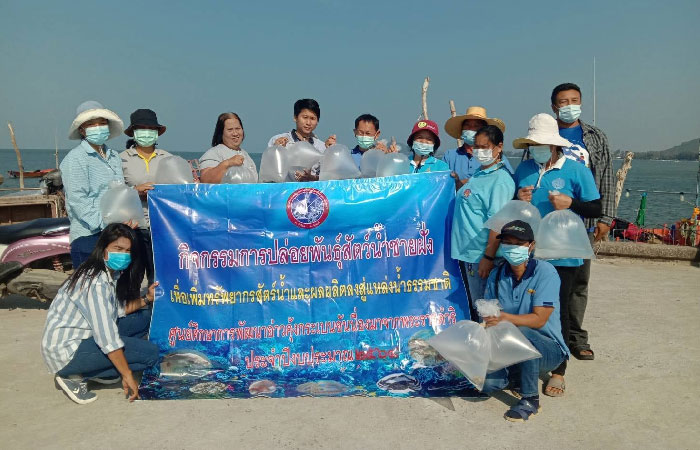 ศูนย์ศึกษาการพัฒนาอ่าวคุ้งกระเบนฯ พร้อมกับ กลุ่มประมงชายฝั่งพื้นบ้าน บ้านเจ้าหลาว ร่วมกันปล่อยพันธุ์สัตว์น้ำชายฝั่ง ได้แก่ หอยหวาน และ หอยชักตีน..คลิก