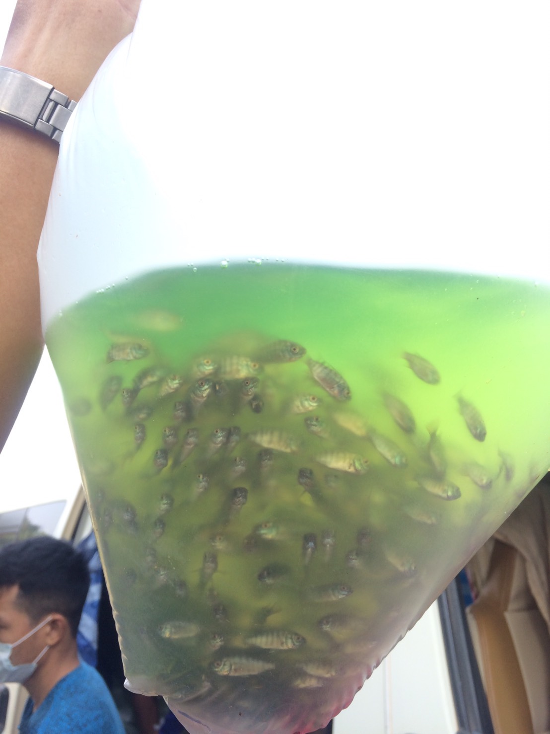 ตรวจสอบสินค้าประมง ส่งออกไปยัง สปป.ลาว..คลิก