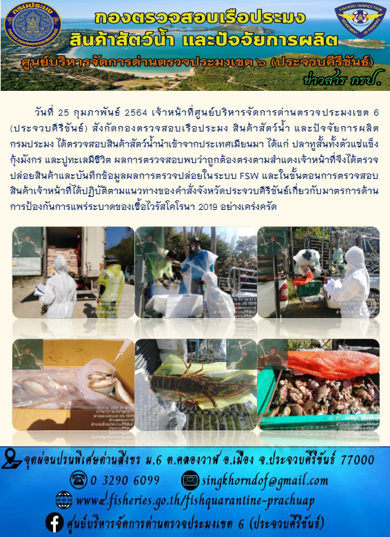 สินค้าสัตว์น้ำนำเข้าจากประเทศเมียนมา..คลิก