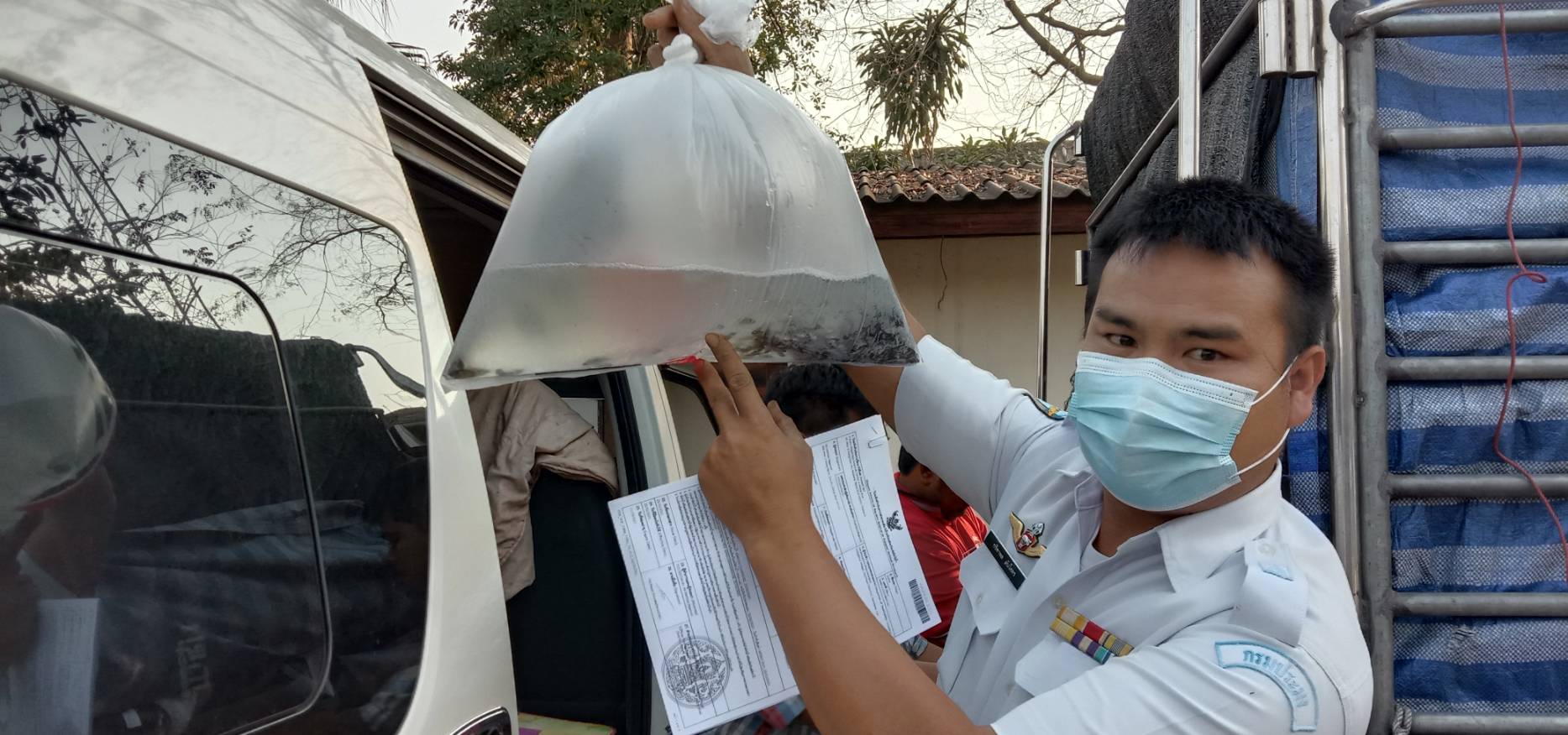 ตรวจสอบลูกพันธุ์สัตว์น้ำ ส่งออกไปยัง สปป.ลาว..คลิก