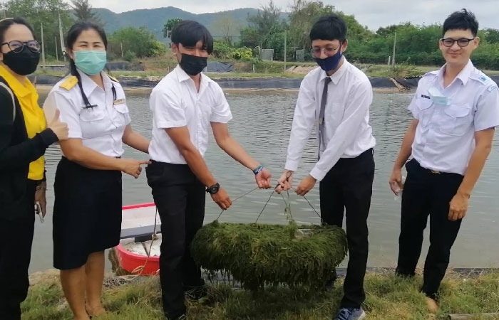 ถ่ายทอดความรู้ในการเลี้ยงสาหร่ายพวงองุ่น ในถังไฟเบอร์กลาส และการเลี้ยงในบ่อดิน