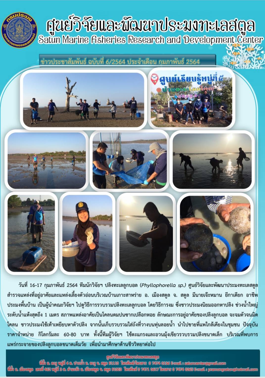 ทีมนักวิจัยฯ ปลิงทะเลลูกบอล (Phyllophorella sp.) ศูนย์วิจัยและพัฒนาประมงทะเลสตูล สำรวจแหล่งที่อยู่อาศัยและแหล่งเลี้ยงตัวอ่อนบริเวณบ้านเกาะสาหร่าย อำเภอเมืองสตูล จังหวัดสตูล มีนายแจ๊ะหมาน ยีกาเดียก อาชีพประมงพื้นบ้านเป็นผู้นำการวิจัยฯ ไปดูวิธีการรวบรวมปลิงทะเลลูกบอลฯลฯ..คลิก