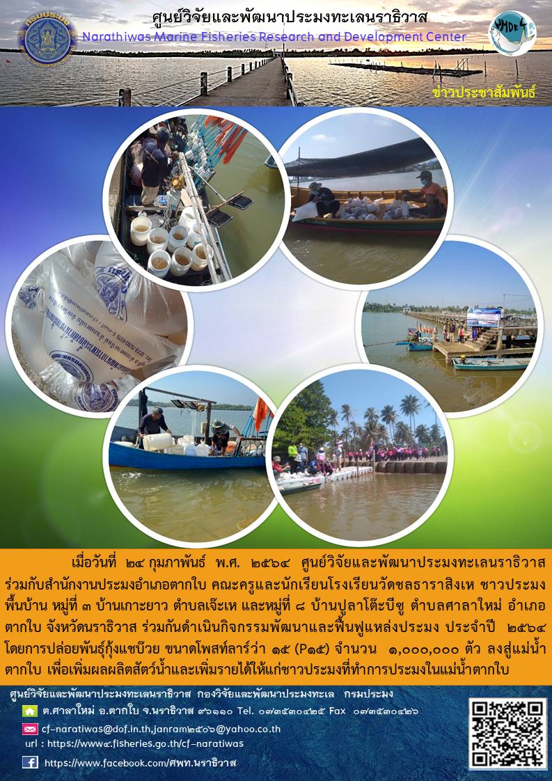 ศูนย์วิจัยและพัฒนาประมงทะเลนราธิวาสร่วมกับสำนักงานประมงอำเภอตากใบ คณะครูและนักเรียนโรงเรียนวัดชลธาราสิงเห ชาวประมงพื้นบ้าน หมู่ที่3 บ้านเกาะยาว ตำบลเจ๊เห และหมู่ที่ 8 บ้านปูลาโต้ะบีชู ตำบลศาลาใหม่ อำเภอตากใบ จังหวัดนราธิวาส ร่วมกันดำเนินกิจกรรมพัฒนาและฟื้นฟูแหล่งประมงประจำปี 2564 ฯลฯ..คลิก