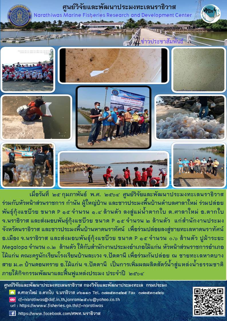 ศูนย์วิจัยและพัฒนาประมงทะเลนราธิวาสร่วมกับหัวหน้าส่วนราชการ กำนัน ผู้ใหญ่บ้านและชาวประมงพื้นบ้านตำบลศาลาใหม่ ร่วมปล่อยพันธ์ุกุ้งแซบ๊วย ขนาด P15 จำนวน 1.4 ล้านตัว ลงสู่แม่น้ำตากใบ ต.ศาลาใหม่ อ.ตากใบ จังหวัดนราธิวาส ฯลฯ..คลิก