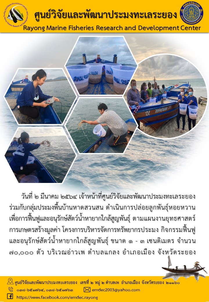 เจ้าหน้าที่ศูนย์วิจัยและพัฒนาประมงทะเลระยองร่วมกับกลุ่มประมงพื้นบ้านหาดสวนสน ดำเนินการปล่อยลูกพันธ์ุหอยหวาน เพื่อการฟื้นฟูและอนุรักษ์สัตว์น้ำหายากใกล้สูญพันธุ์ ตามแผนงานยุทธศาสตร์การเกษตรสร้างมูลค่า..คลิก