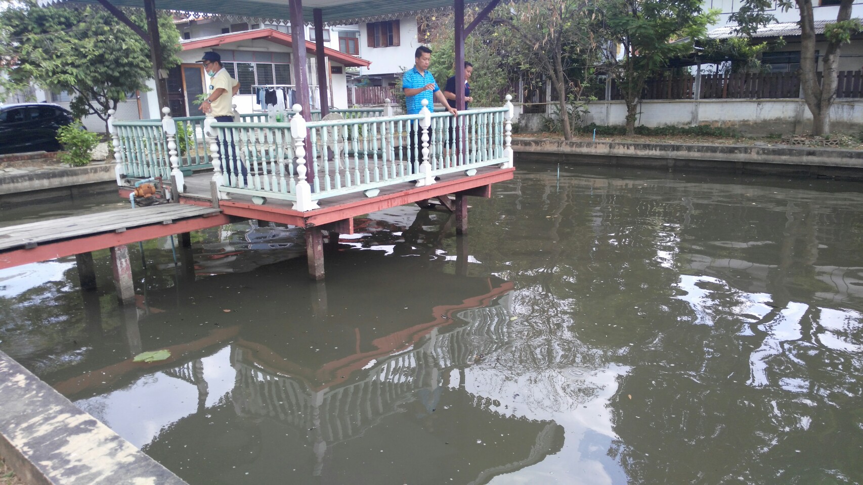 (อ.เมืองนนทบุรี) การแก้ไขปัญหาเร่งด่วน กรณีปลานิลที่เลี้ยงในบ่อมีจำนวนมากและเกิดการตายทุกวัน @อ.เมืองนนทบุรี จ.นนทบุรี..คลิก