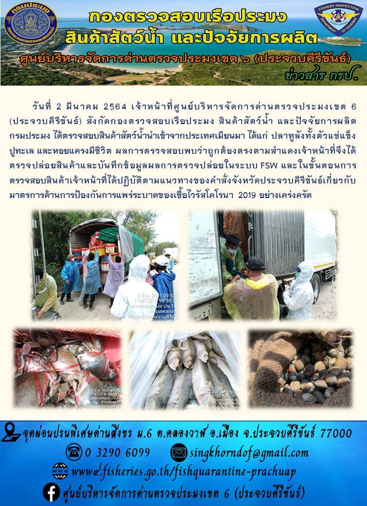 สินค้าสัตว์น้ำนำเข้าจากประเทศเมียนมา..คลิก