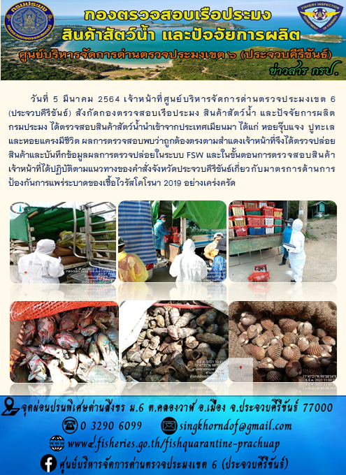 สินค้าสัตว์น้ำนำเข้าจากประเทศเมียนมา..คลิก