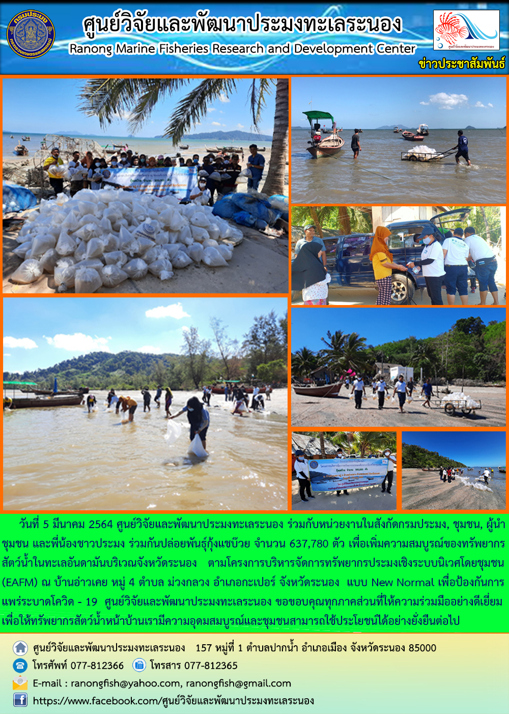 ศูนย์วิจัยและพัฒนาประมงทะเลระนอง ร่วมกับหน่วยงานในสังกัดกรมประมง ชุมชน ผู้นำชุมชน และพี่น้องชาวประมง ร่วมกันปล่อยพันธุ์กุ้งแชบ๊วย จำนวน 637,780 ตัว เพื่อเพิ่มความสมบูรณ์ของทรัพยากรสัตว์น้ำในทะเลอันดามันบริเวณจังหวัดระนอง ฯลฯ..คลิก