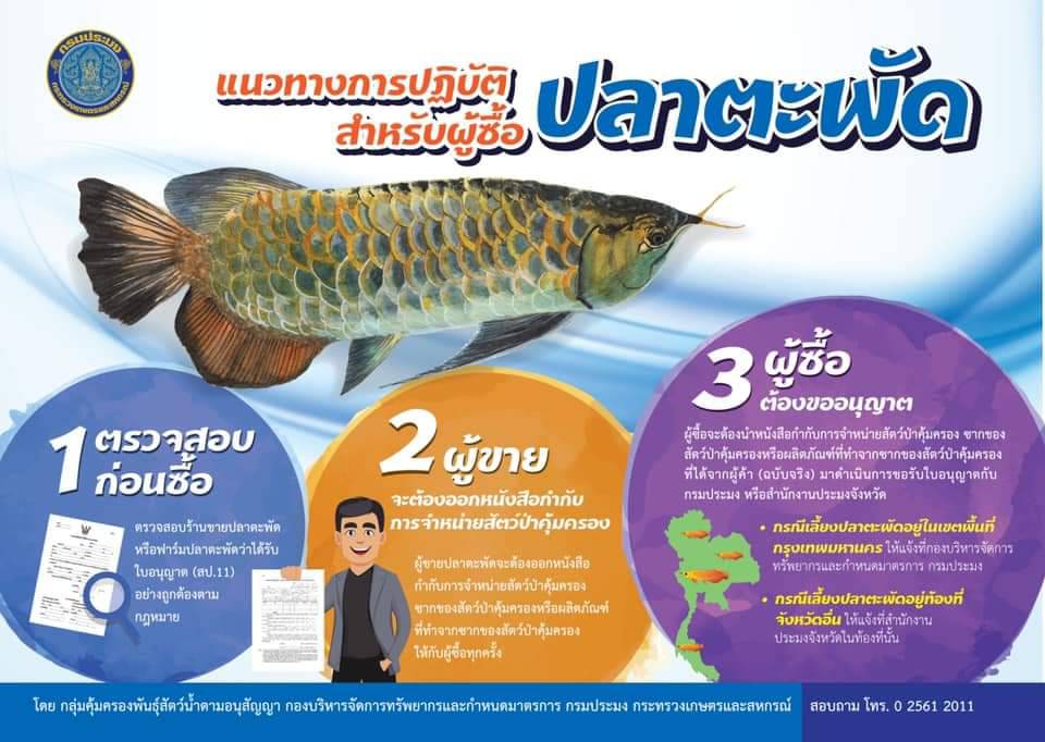 แนวทางการปฏิบัติสำหรับผู้ซื้อปลาตะพัด (ปลามังกร)..คลิก