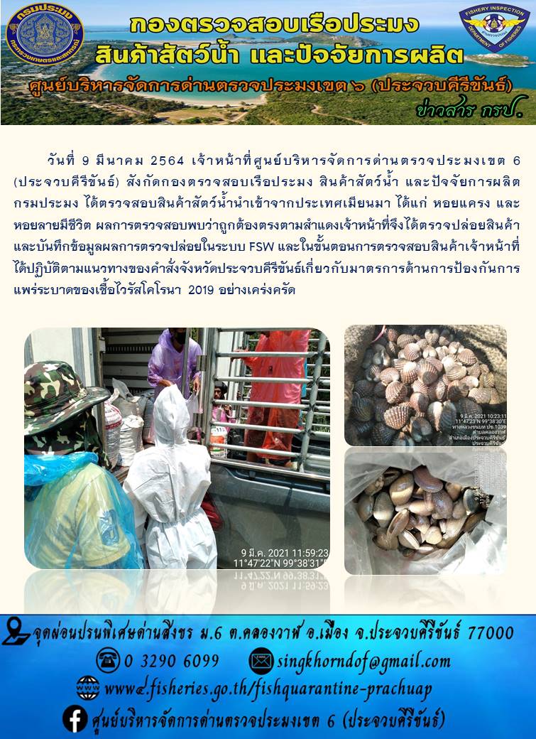 สินค้าสัตว์น้ำนำเข้าจากประเทศเมียนมา..คลิก