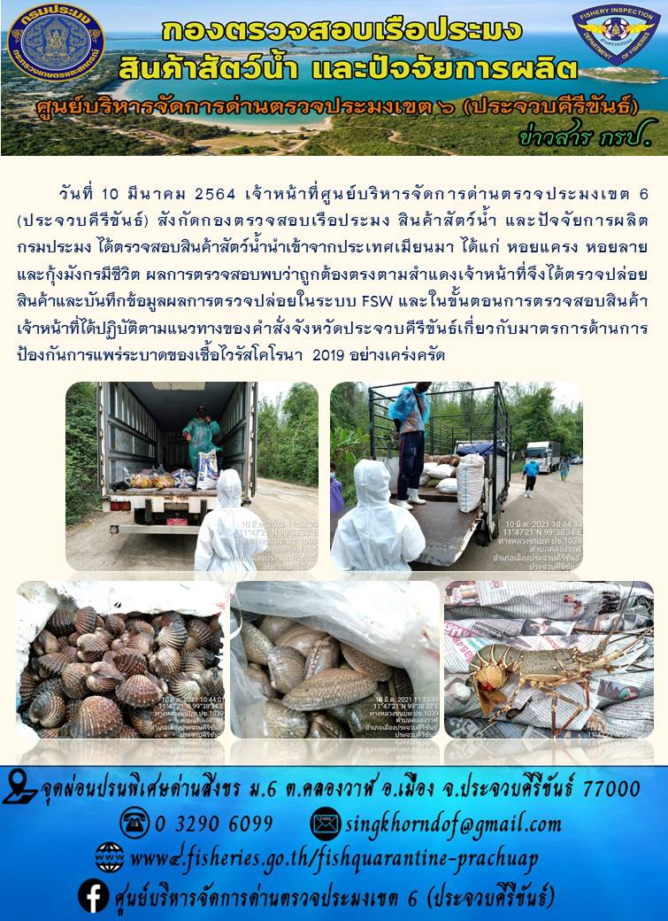 สินค้าสัตว์น้ำนำเข้าจากประเทศเมียนมา..คลิก