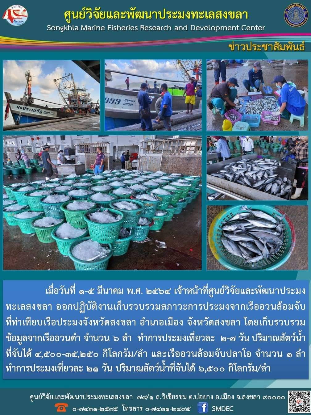เจ้าหน้าที่ศูนย์วิจัยและพัฒนาประมงสงขลา ออกปฏิบัติงานเก็บรวบรวมสภาวะการประมงจากเรืออวนล้อมจับที่ท่าเทียบเรือประมงจังหวัดสงขลา อำเภอเมือง จังหวัดสงขลา โดยเก็บรวบรวมข้อมูลจากเรืออวนดำ จำนวน 6 ลำ ฯลฯ..คลิก