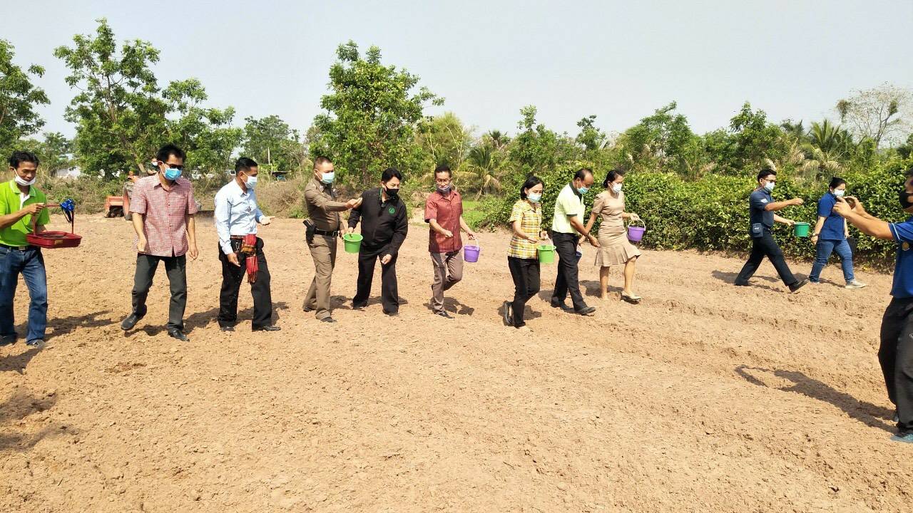 ประมงอำเภอบัวใหญ่ร่วมกิจกรรมงานวันถ่ายทอดเทคโนโลยีเริ่มต้นฤดุกาลผลิตใหม่ (Field Day) อำเภอบัวลาย..คลิก