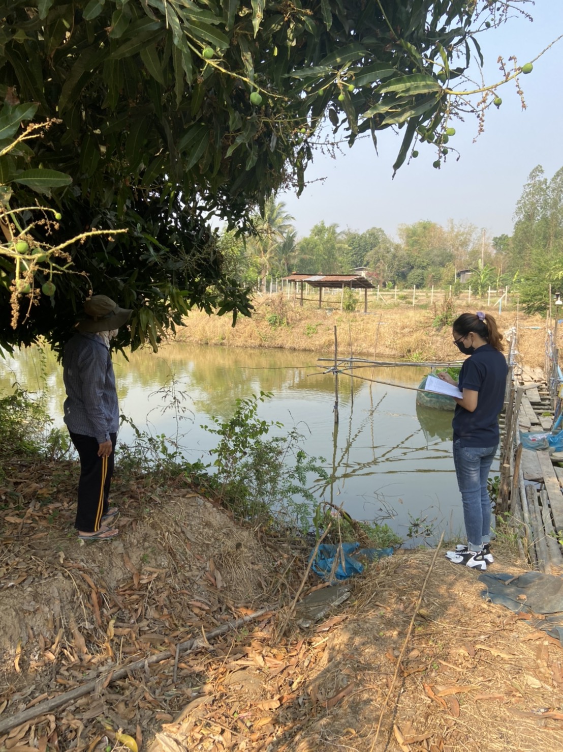 กิจกรรมตรวจติดตามฟาร์มเกษตรกร..คลิก