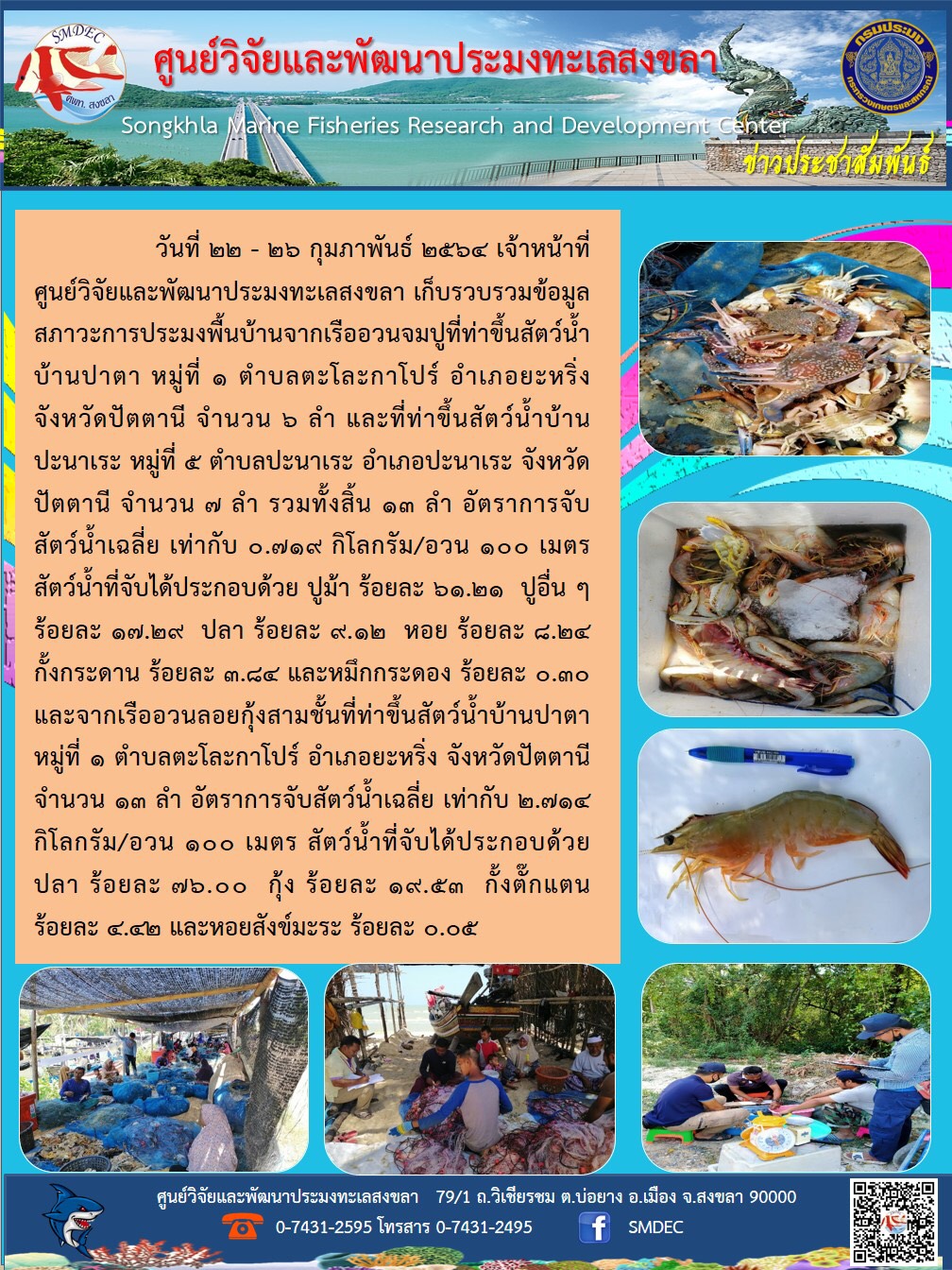 วันที่ 22 - 26 กพ. 2564 ศูนย์วิจัยและพัฒนาประมงทะเลสงขลา เก็บรวบรวมข้อมูลสภาวะการประมงพื้นบ้านจากเรืออวนจมปูที่ท่าขึ้นสัตว์น้ำ บ้านปาดา หมู่ 1 จ.ปัตตานี จำนวน 6 ลำ ที่ท่าขึ้นสัตว์น้ำบ้านปะนาเระ หมู่ที่ 5 จ.ปัตตานี จำนวน 7 ลำ รวม 13 ลำ อัตราการจับสัตว์น้ำเฉลี่ย เท่ากับ 0.719 กิโลกรัม/อวนและจากเรืออวนลอยกุ้งสาใชั้นที่ท่าขึ้นสัตว์น้ำบ้านปาตา หมู่ 1 จ.ปัตตานี จำนวน 13 ลำอัตราการจับสัตว์น้ำเฉลี่ย เท่ากับ 2.714 กิโลกรัม/อวน