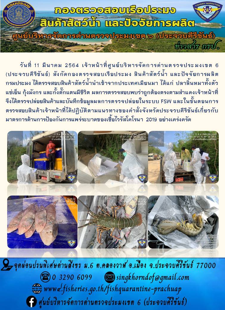 สินค้าสัตว์น้ำนำเข้าจากประเทศเมียนมา