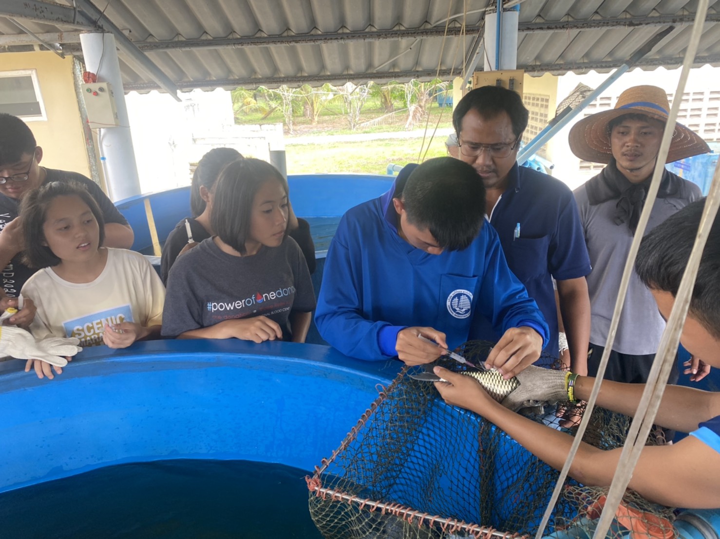 ฝึกอบรมโครงการส่งเสริมและพัฒนาอาชีพด้านการประมงตามแนวเศรษฐกิจพอเพียง กิจกรรมส่งเสริมเยาวชนนักเพาะเลี้ยง ประจำปีงบประมาณ พ.ศ. 2564..คลิก