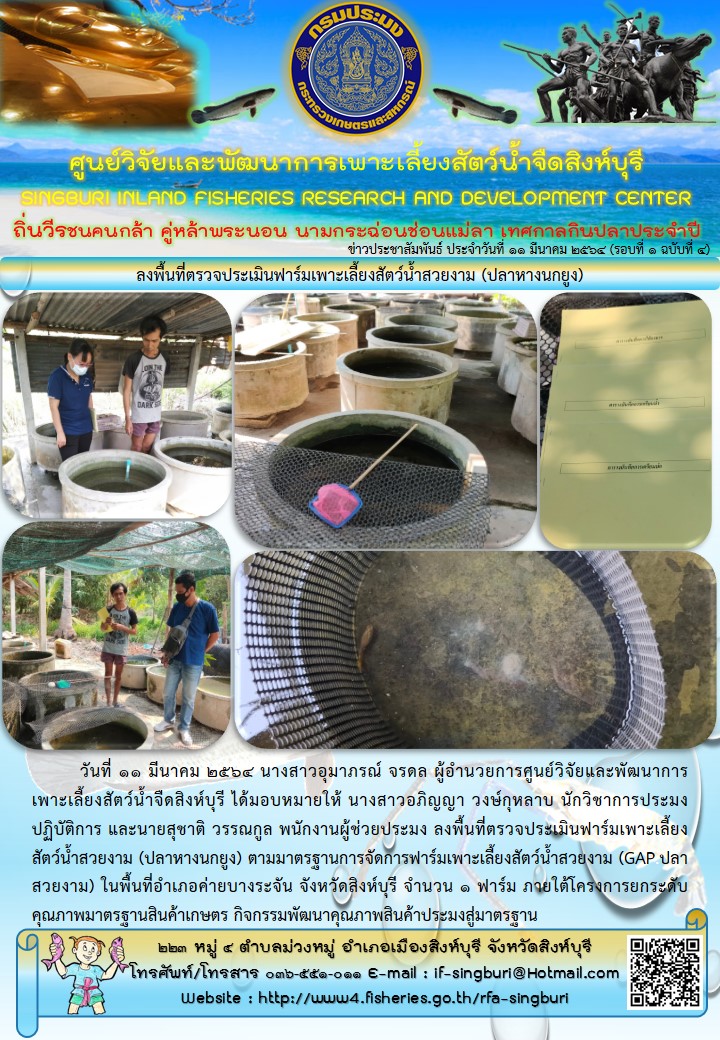 ลงพื้นที่ตรวจประเมินฟาร์มเพาะเลี้ยงสัตว์น้ำสวยงาม (ปลาหางนกยูง)..คลิก