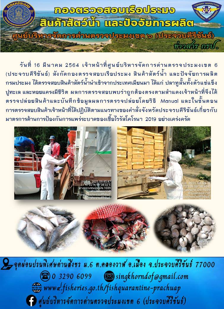 สินค้าสัตว์น้ำนำเข้าจากประเทศเมียนมา..คลิก