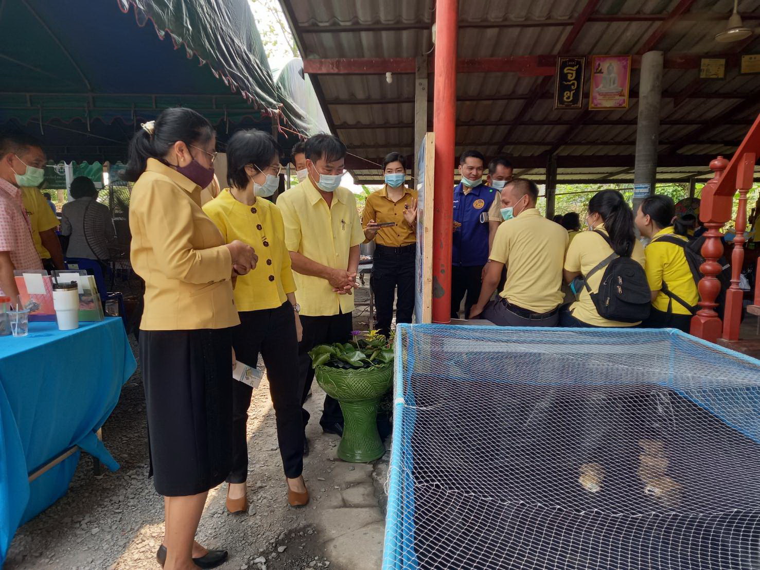 (อ.ไทรน้อย) งานวันถ่ายทอดเทคโนโลยี เพื่อเริ่มต้นฤดูกาลผลิตใหม่ (Field day) ปี 2564 @ศพก.อ.ไทรน้อย จังหวัดนนทบุรี..คลิก